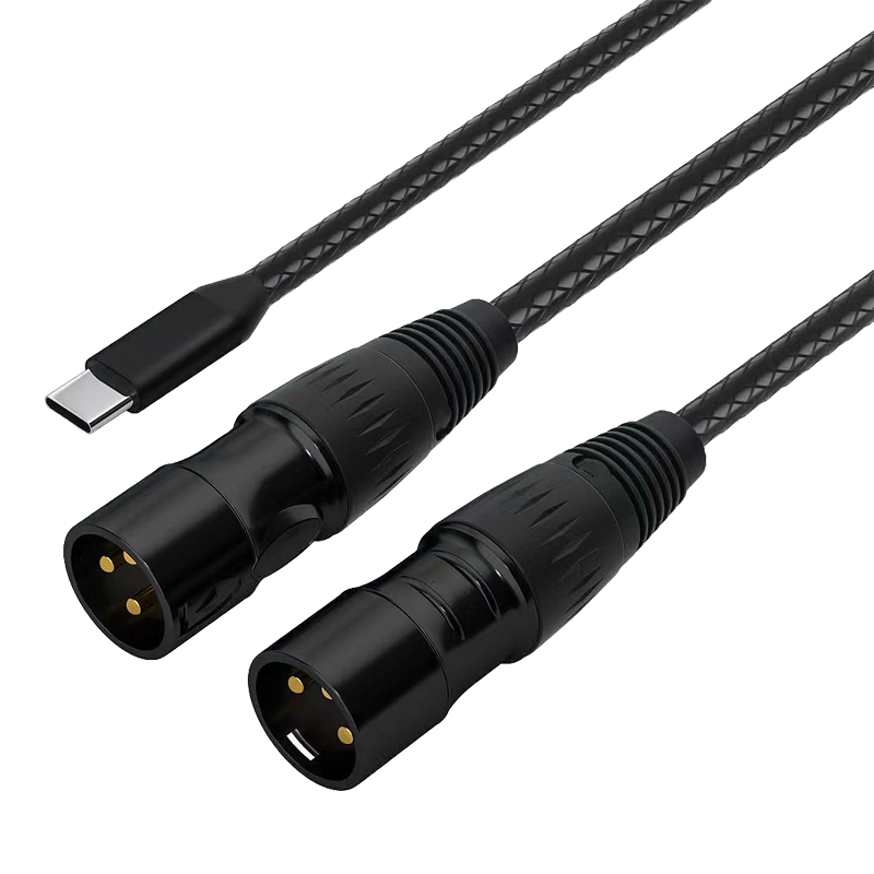 USB C to 2XLR